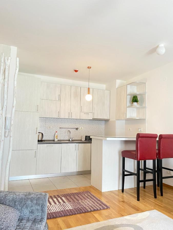 Apartman Vesna City 2. Pg Podgorica Bagian luar foto